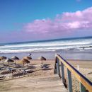 Eurostops Costa da Caparica