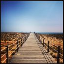 Praia do Salgados - Algarve