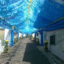 Pereiro de Mação - Rua da Senhora da Saú Pereiro de Mação - Rua da Senhora da Saú