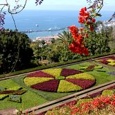 Jardim BotânicoLocal: FunchalFoto: Turismo da Madeira