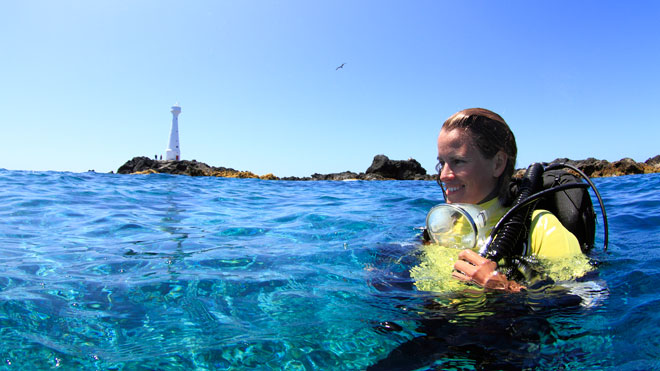  Diving in Azores_ Formigas Islets ©Nuno Sá and Turismo dos Açores