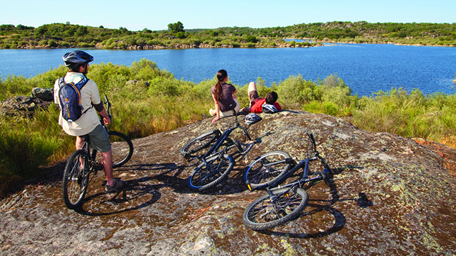 Capacetes de Bicicleta para Competição e Uso Citadino