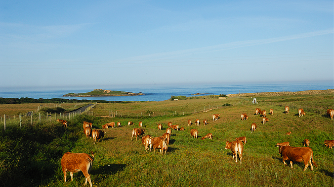 Rota Vicentina